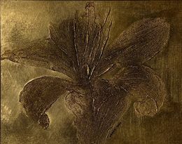 Peinture, My Gold Lily, Irena Tone