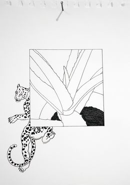 Fine Art Drawings, Aloe Drawing, Lyuben Domozetski