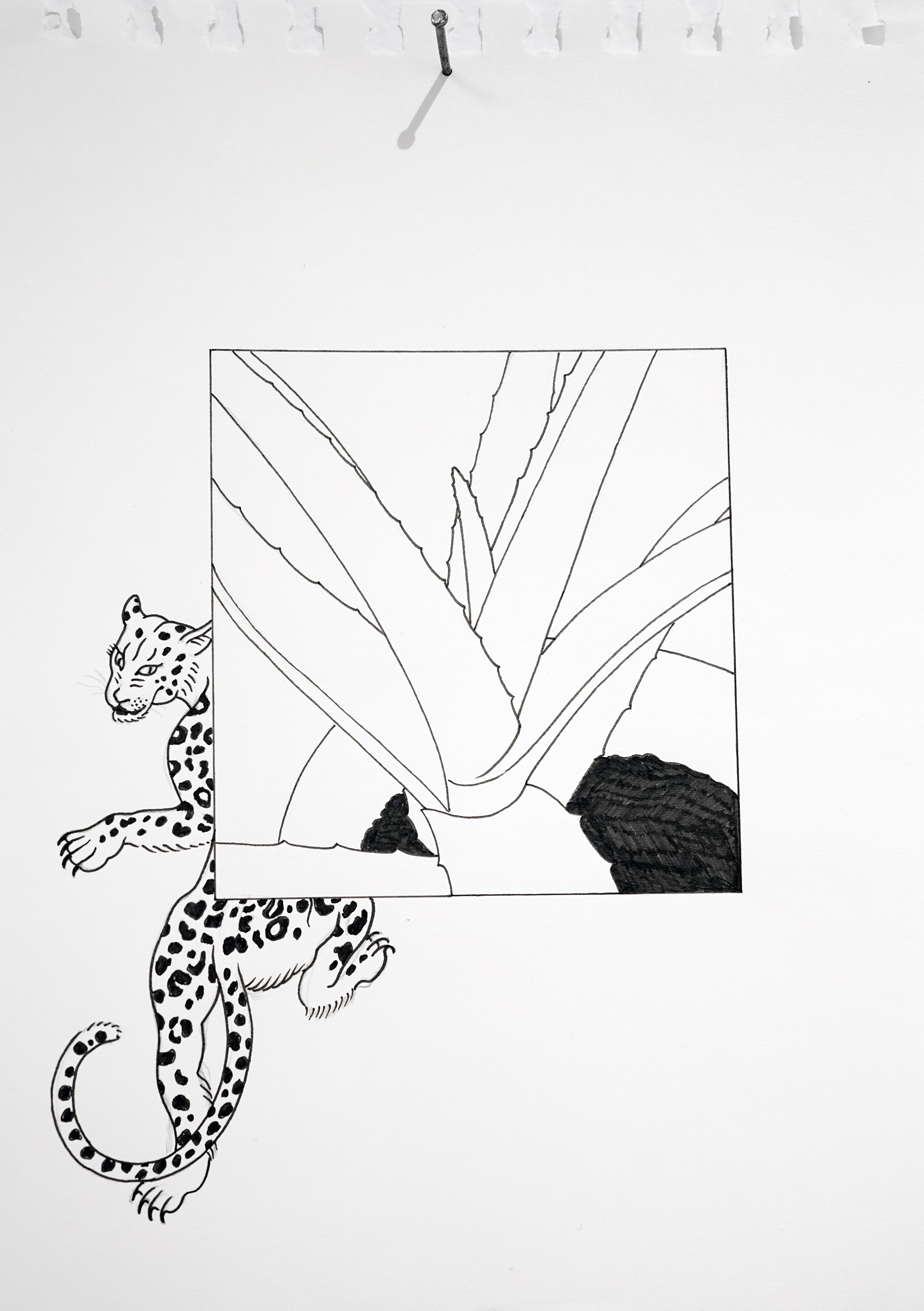 Lyuben Domozetski, Aloe Drawing Lyuben Domozetski, Aloe Drawing