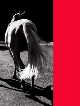 Fotografien, Cherry Bomb, Amrita Bilimoria