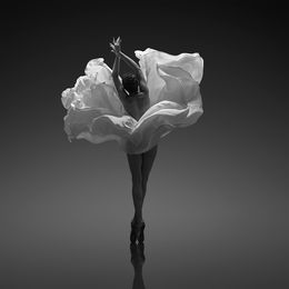 Photography, Savor, Yevgeniy Repiashenko