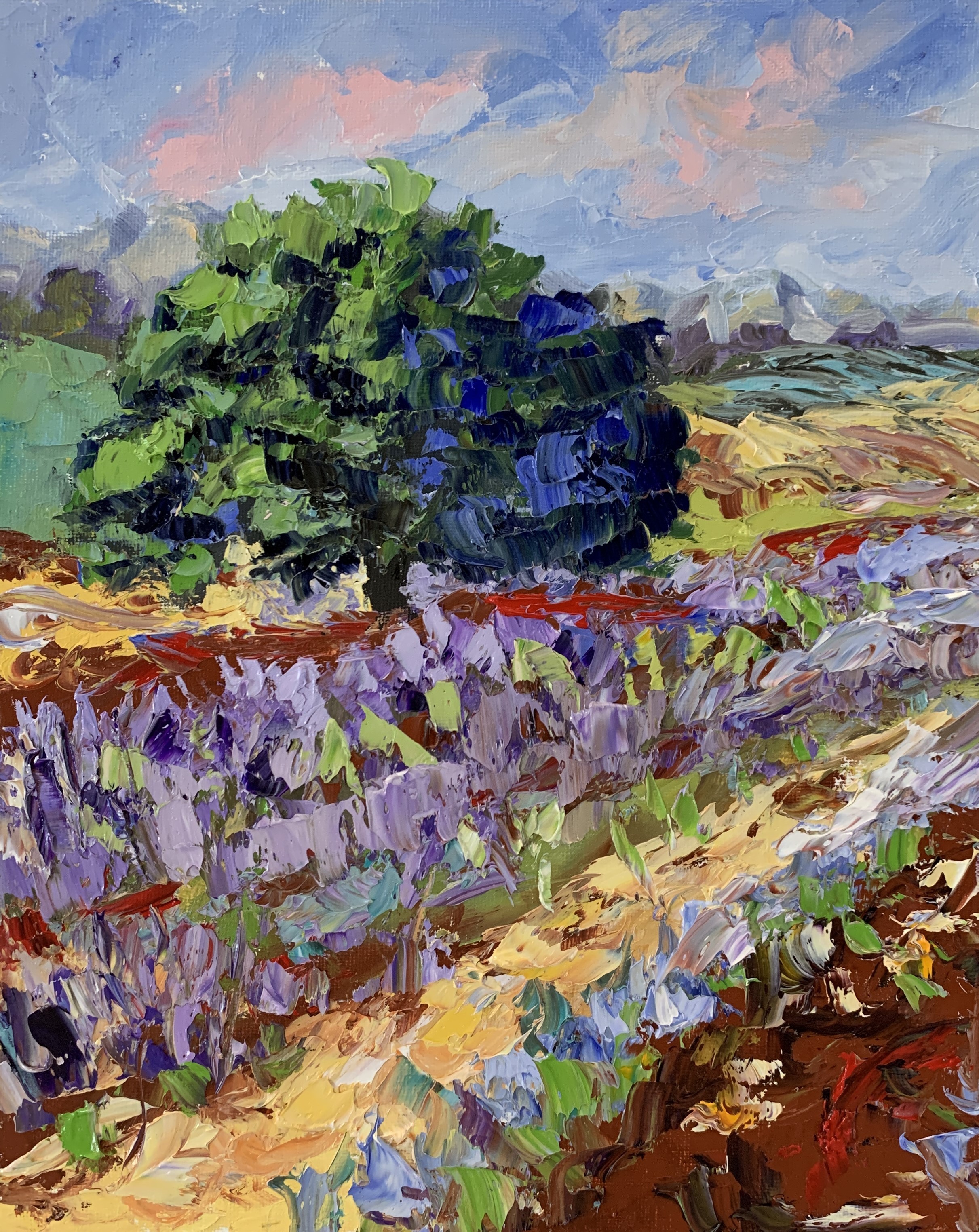 Schagen Vita, Summer in Tuscany. Lavender field Schagen Vita, Summer in Tuscany. Lavender field