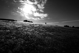 Fotografien, Sous le vent, Regis Duvignau