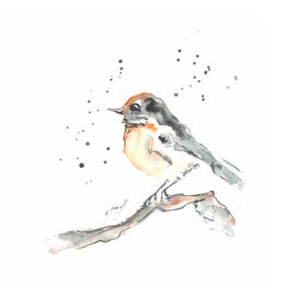Fine Art Drawings, Notre pioupiou du jardin !, Noël Granger