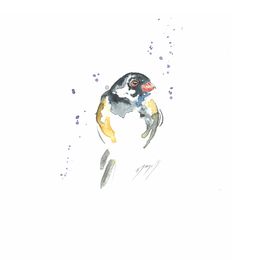 Fine Art Drawings, Notre pioupiou aux couleurs vibrantes !, Noël Granger