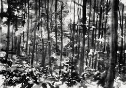 Fine Art Drawings, Fontainebleau #15, Yann Bagot