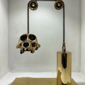 Skulpturen, Mise en suspension d'un crâne de singe, Stephane Chavanis