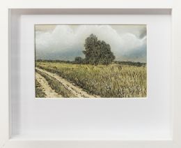 Painting, Paysage - paysage figuratif sauvage, Eddy Josse