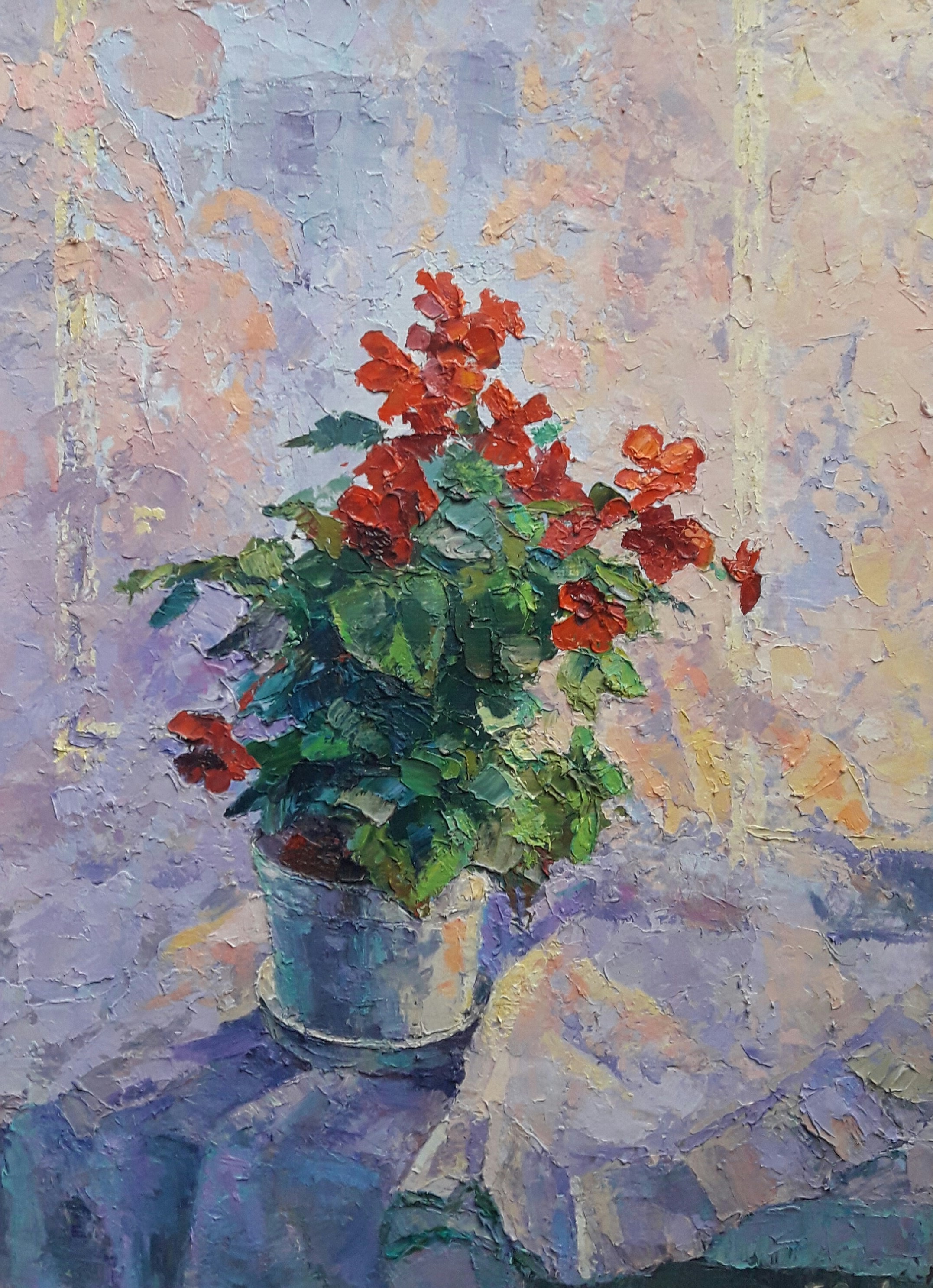 Boris Serdyuk, Begonia Boris Serdyuk, Begonia