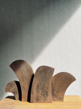 Sculpture, Ecailles du perroquet, Antoine Leclercq