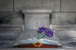 Photography, Reverence No. 3. Paris. France. From the Reverence Series, Victoria Cohen