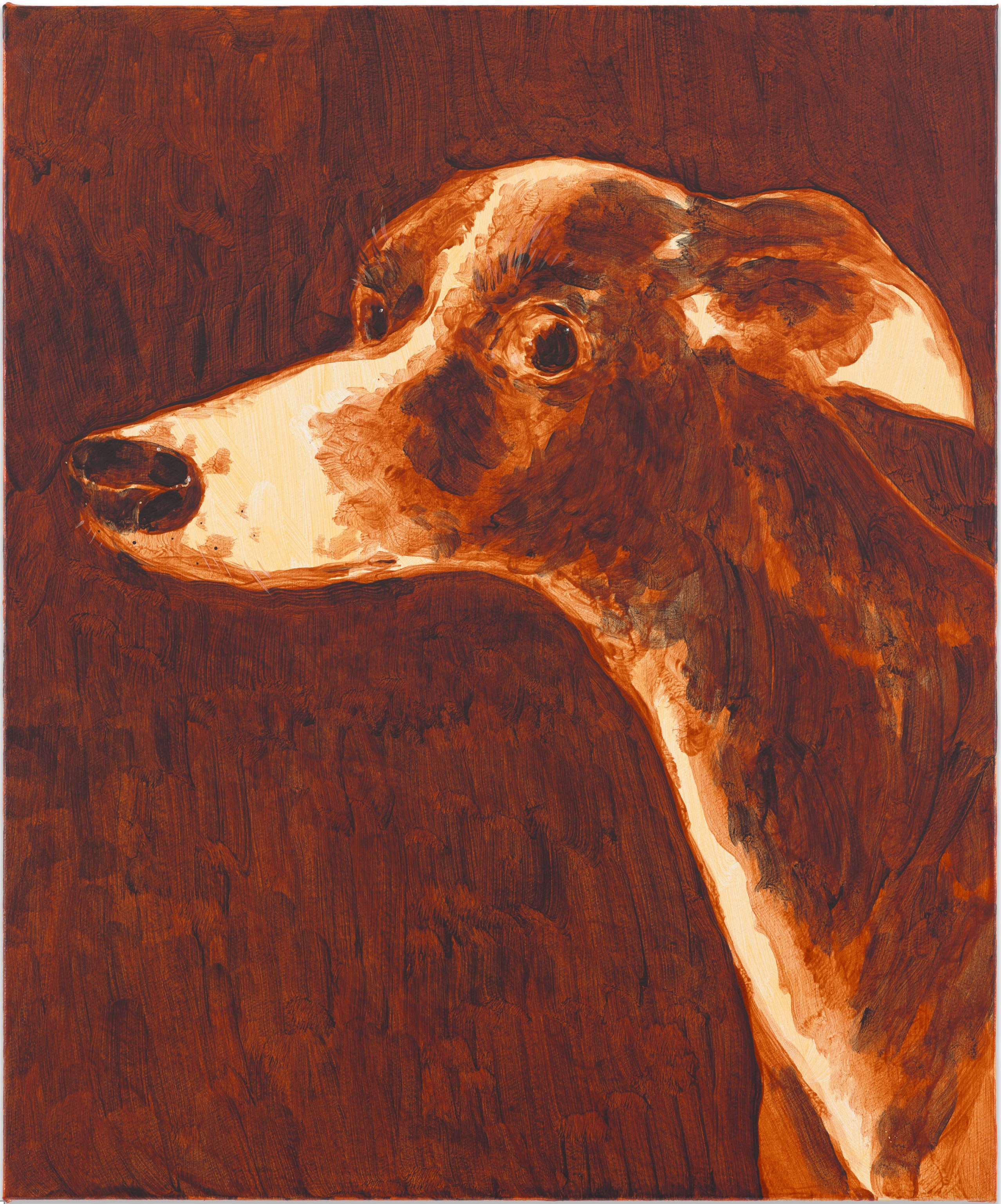 David Surman, Dog with a long nose David Surman, Dog with a long nose