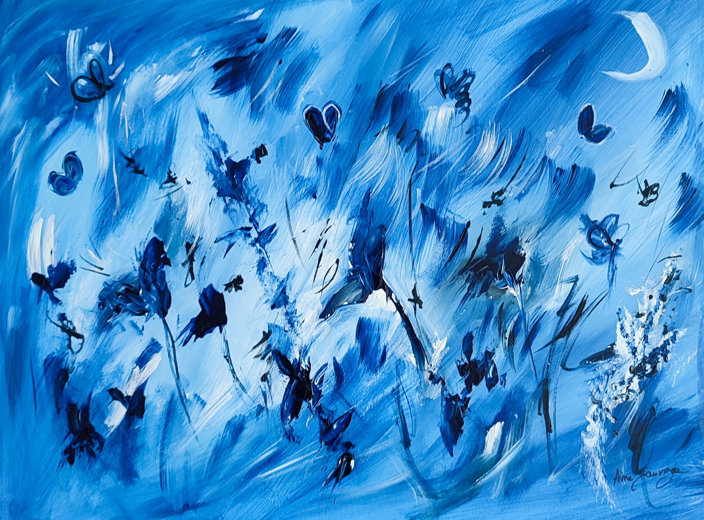 Âme Sauvage, Beauté aquatique Âme Sauvage, Beauté aquatique