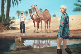 Gemälde, Two Camel, Nataliya Bagatskaya