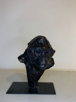 Skulpturen, Tête de Bonobo, Guy Lioult