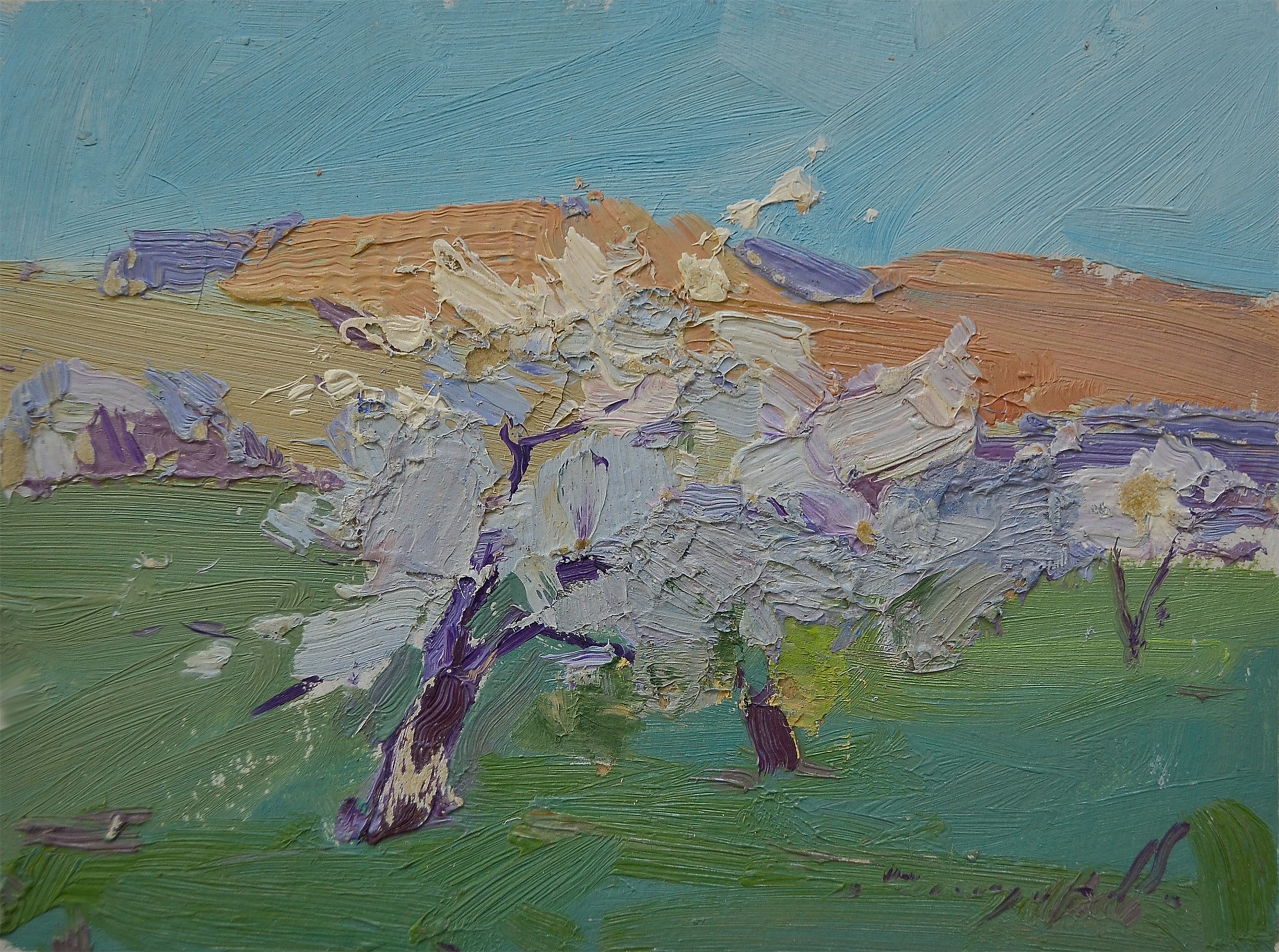 Alexander Shandor, Apple Tree in Bloom Alexander Shandor, Apple Tree in Bloom