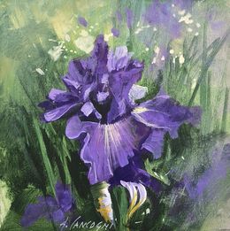 Peinture, Iris, Agostino Cancogni
