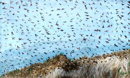 Gemälde, Birdy Sky, Anand Manchiraju