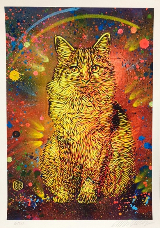 C215, Digigraphie CAT C215, Digigraphie CAT
