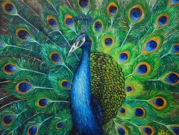 Peinture, Majestic Peacock, Olesia Lebedenko