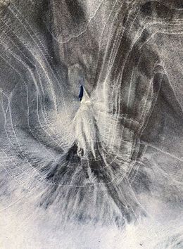 Photographie, Bird, Sand Art Lofoten