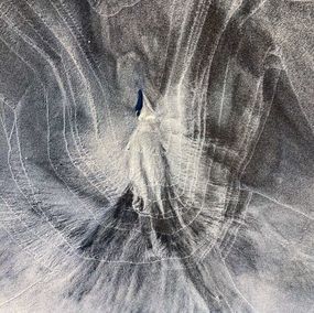 Photographie, Bird, Sand Art Lofoten