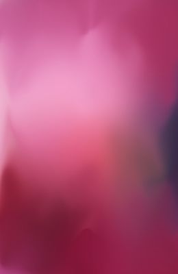 Photographie, Bleed # 202482, Paul Snell
