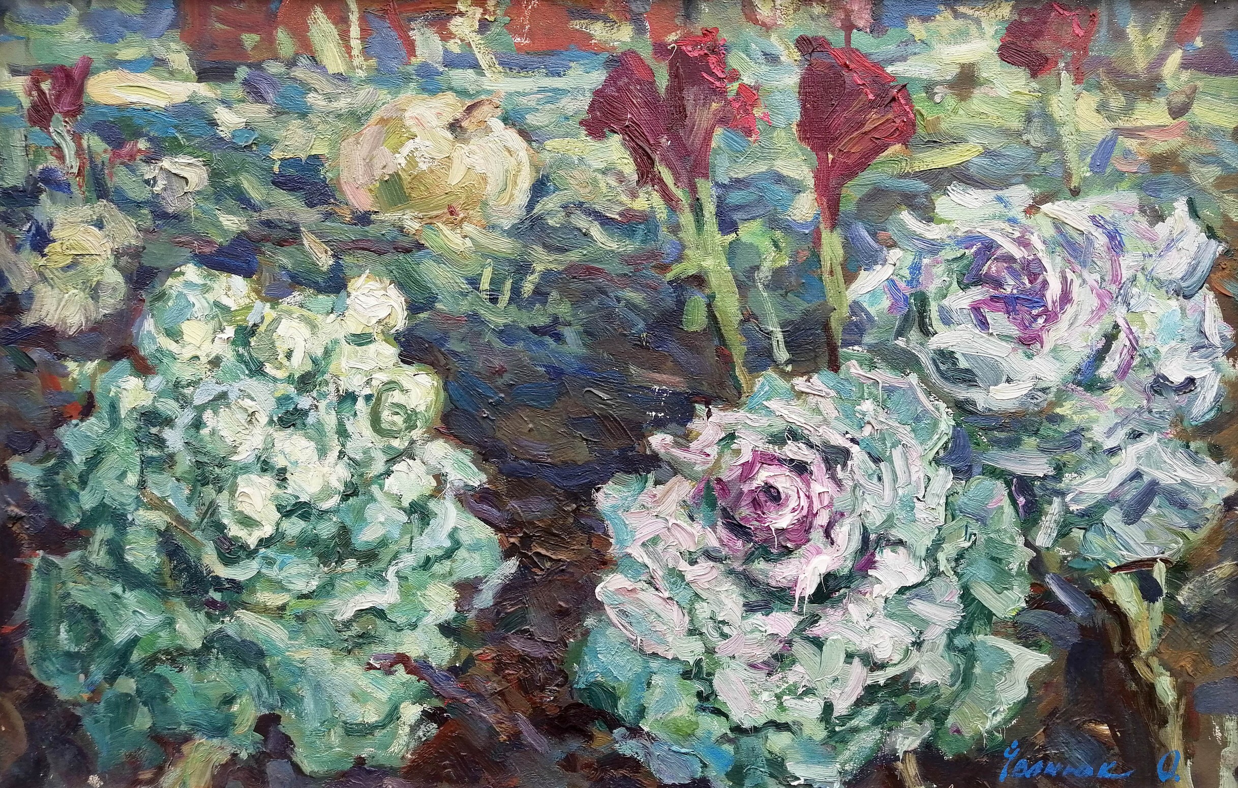 Ivanyuk Oleksiy, Cabbage in the garden Ivanyuk Oleksiy, Cabbage in the garden