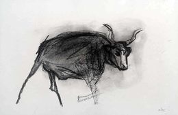 Fine Art Drawings, Taureau, Lionel le Jeune