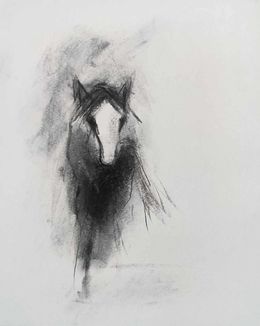 Fine Art Drawings, Cheval, Lionel le Jeune