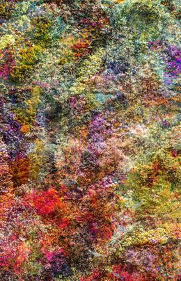 Photography, Wall of Nature XXVIII (XXL Edition), Viet Ha Tran
