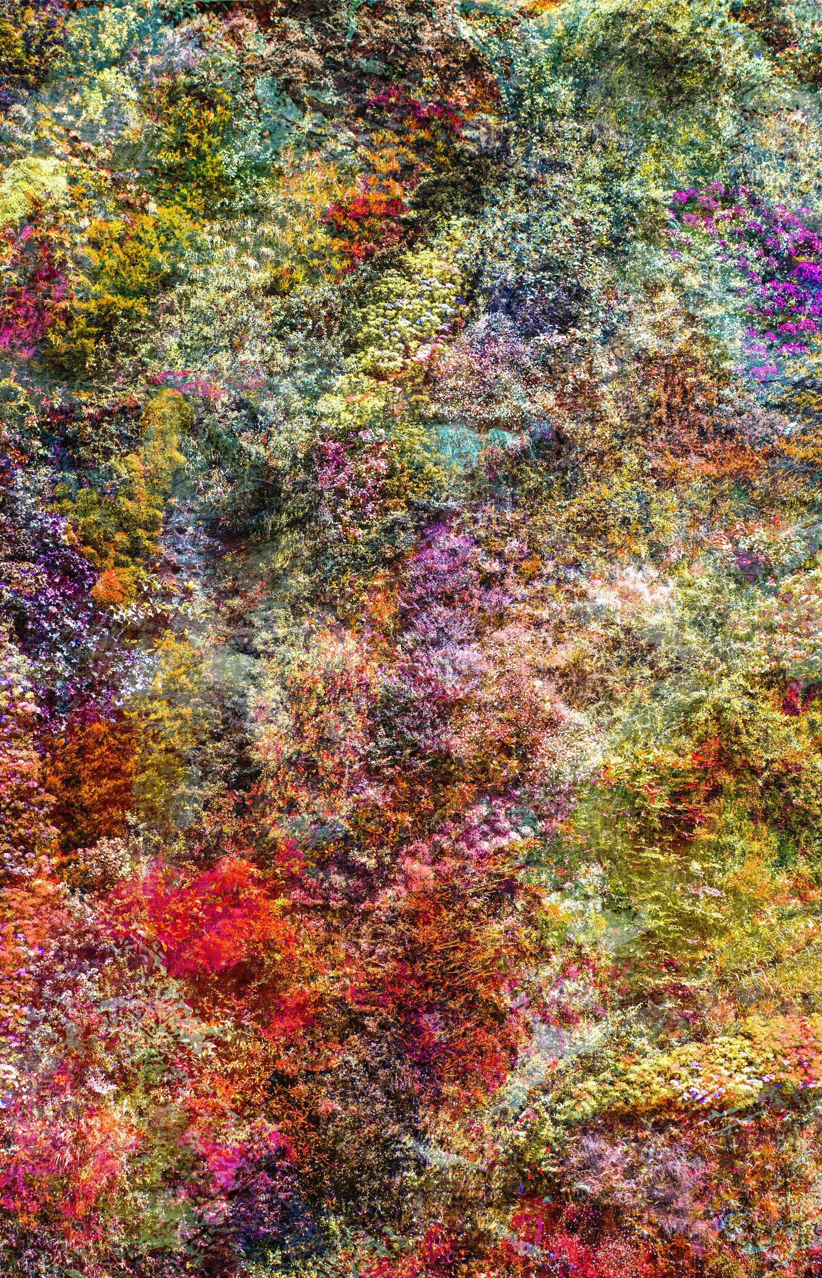 Viet Ha Tran, Wall of Nature XXVIII (XXL Edition) Viet Ha Tran, Wall of Nature XXVIII (XXL Edition)
