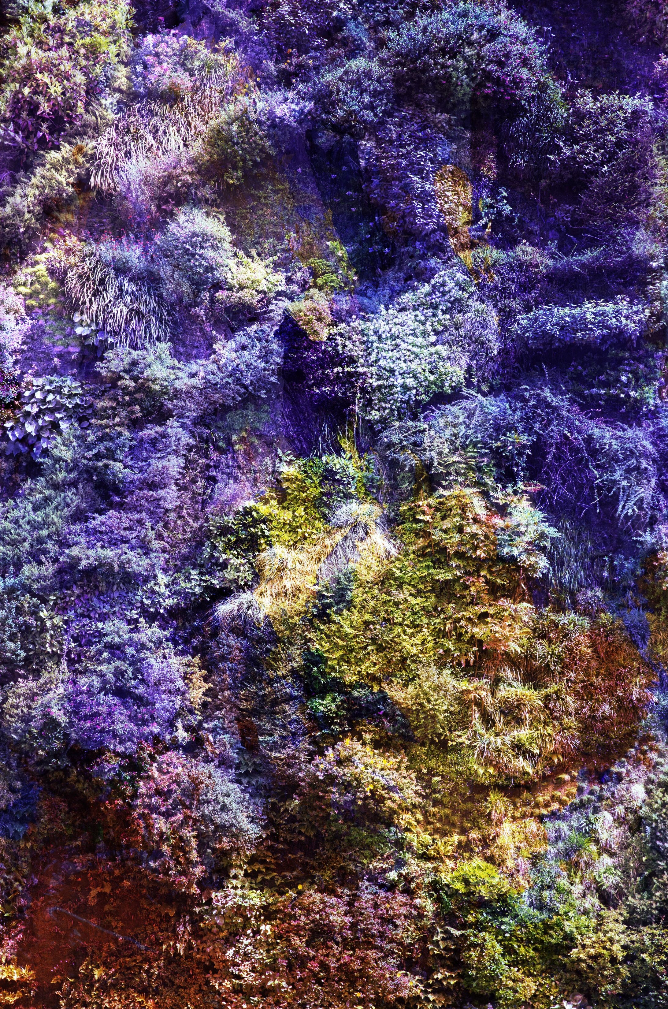 Viet Ha Tran, Wall of Nature XXXII (XXL Edition) Viet Ha Tran, Wall of Nature XXXII (XXL Edition)