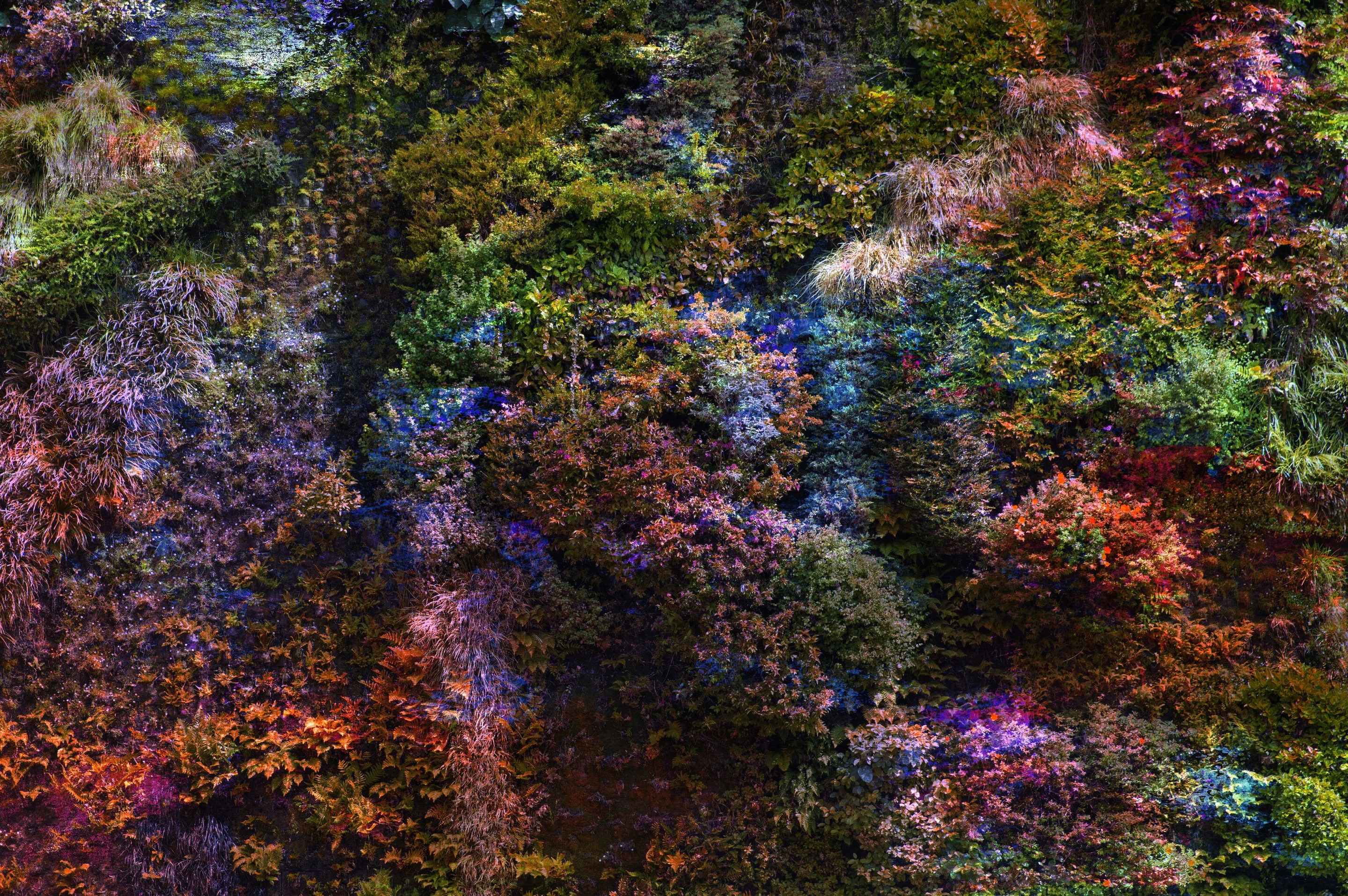 Viet Ha Tran, Wall of Nature XXXVI (XXL Edition). Viet Ha Tran, Wall of Nature XXXVI (XXL Edition).