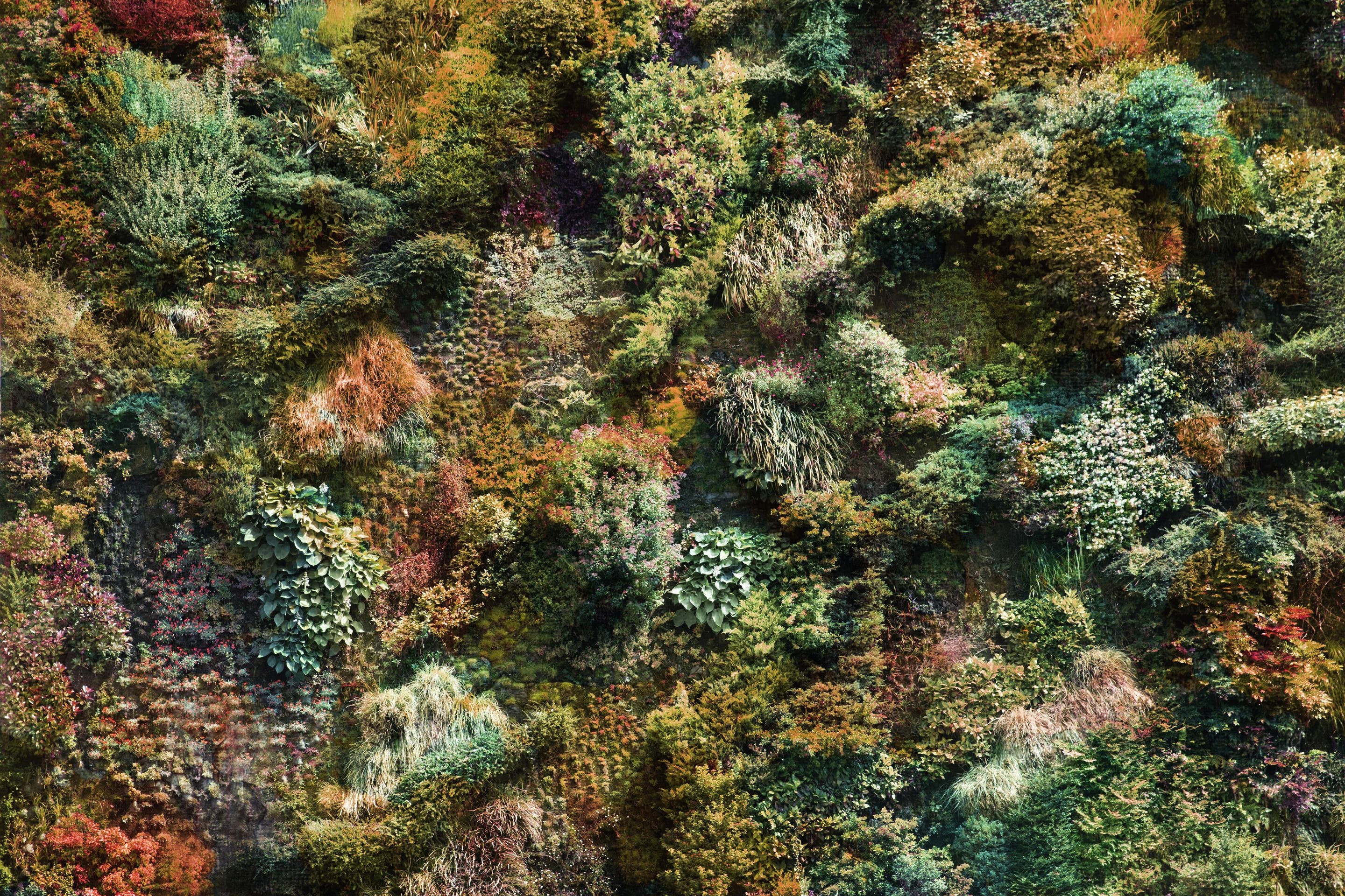 Viet Ha Tran, Wall of Nature XXXV (XXL Edition) Viet Ha Tran, Wall of Nature XXXV (XXL Edition)