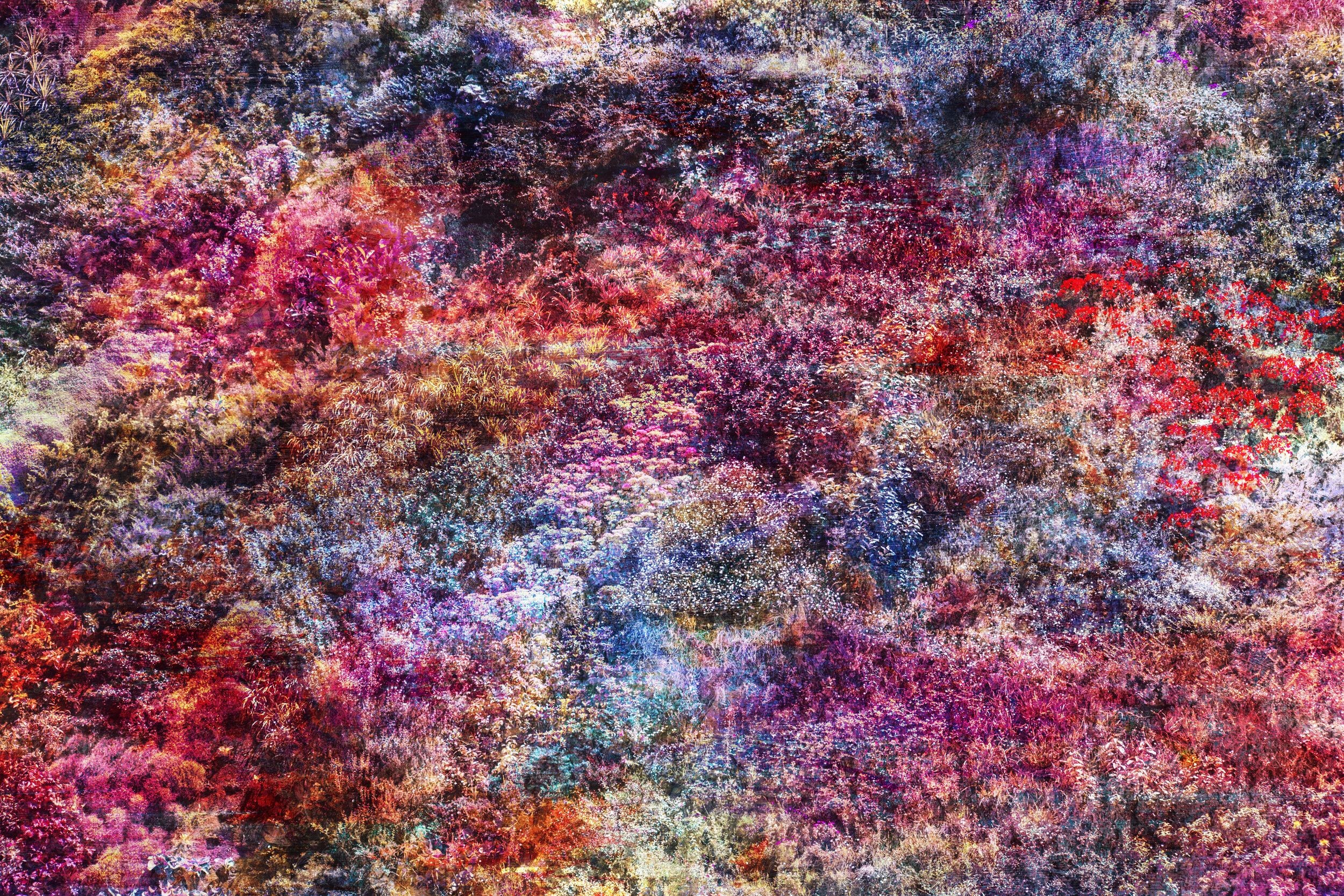 Viet Ha Tran, Wall of Nature XXVII (XXL Edition). Viet Ha Tran, Wall of Nature XXVII (XXL Edition).