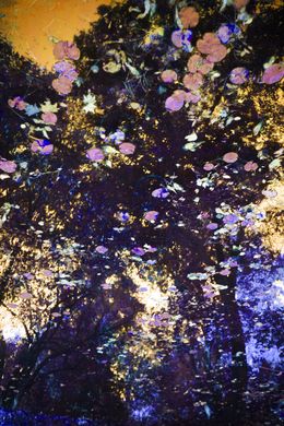 Photography, The breath of autumn III,, Viet Ha Tran