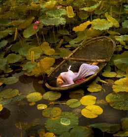 Photography, The Golden Lotus Lake, Viet Ha Tran