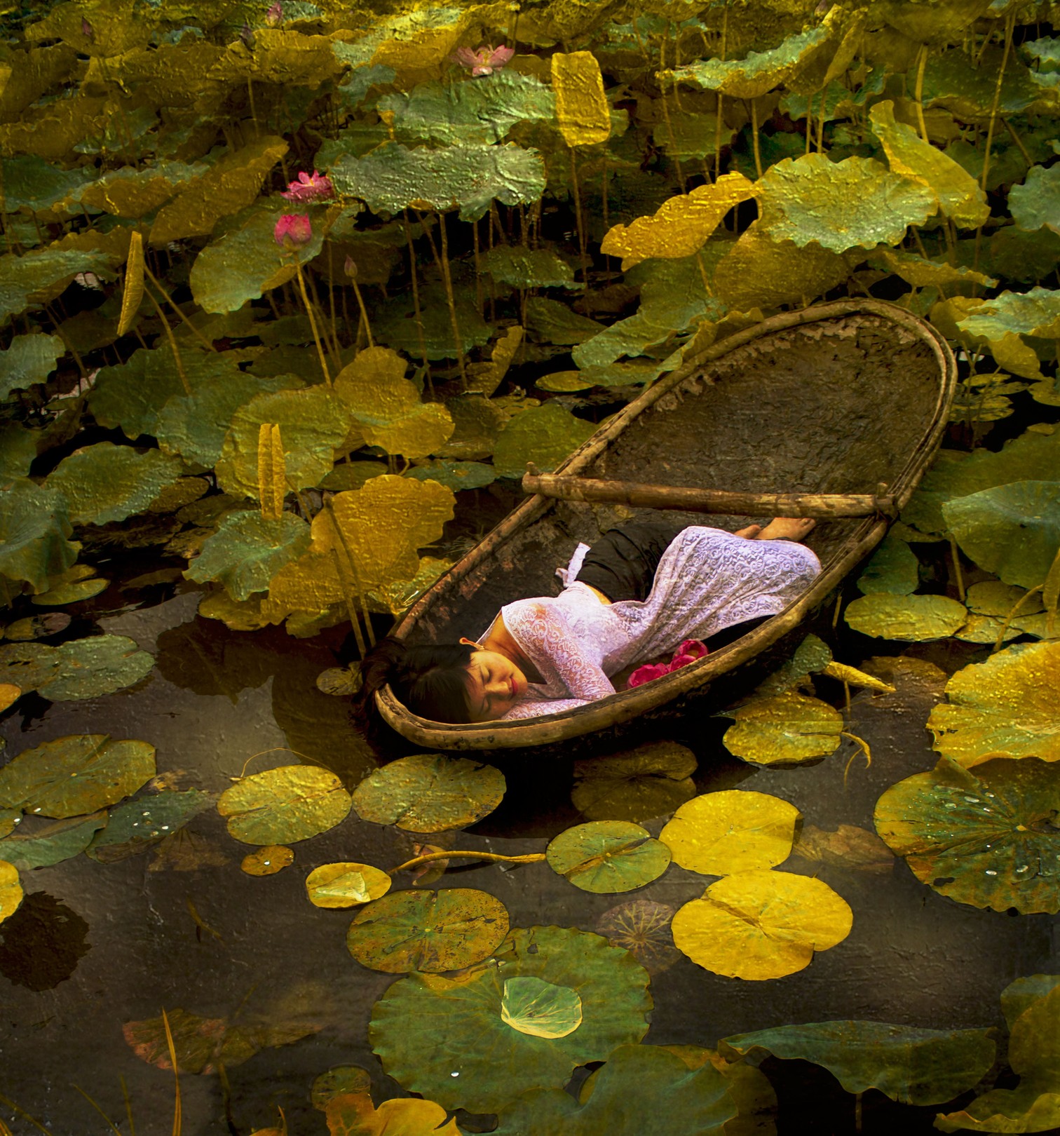 Viet Ha Tran, The Golden Lotus Lake Viet Ha Tran, The Golden Lotus Lake