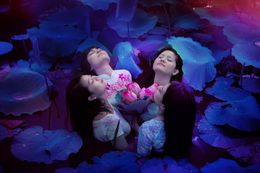 Photography, The mysterious lotus lake, Viet Ha Tran