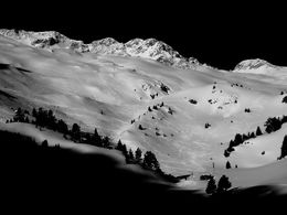 Photography, European Snow I, Viet Ha Tran
