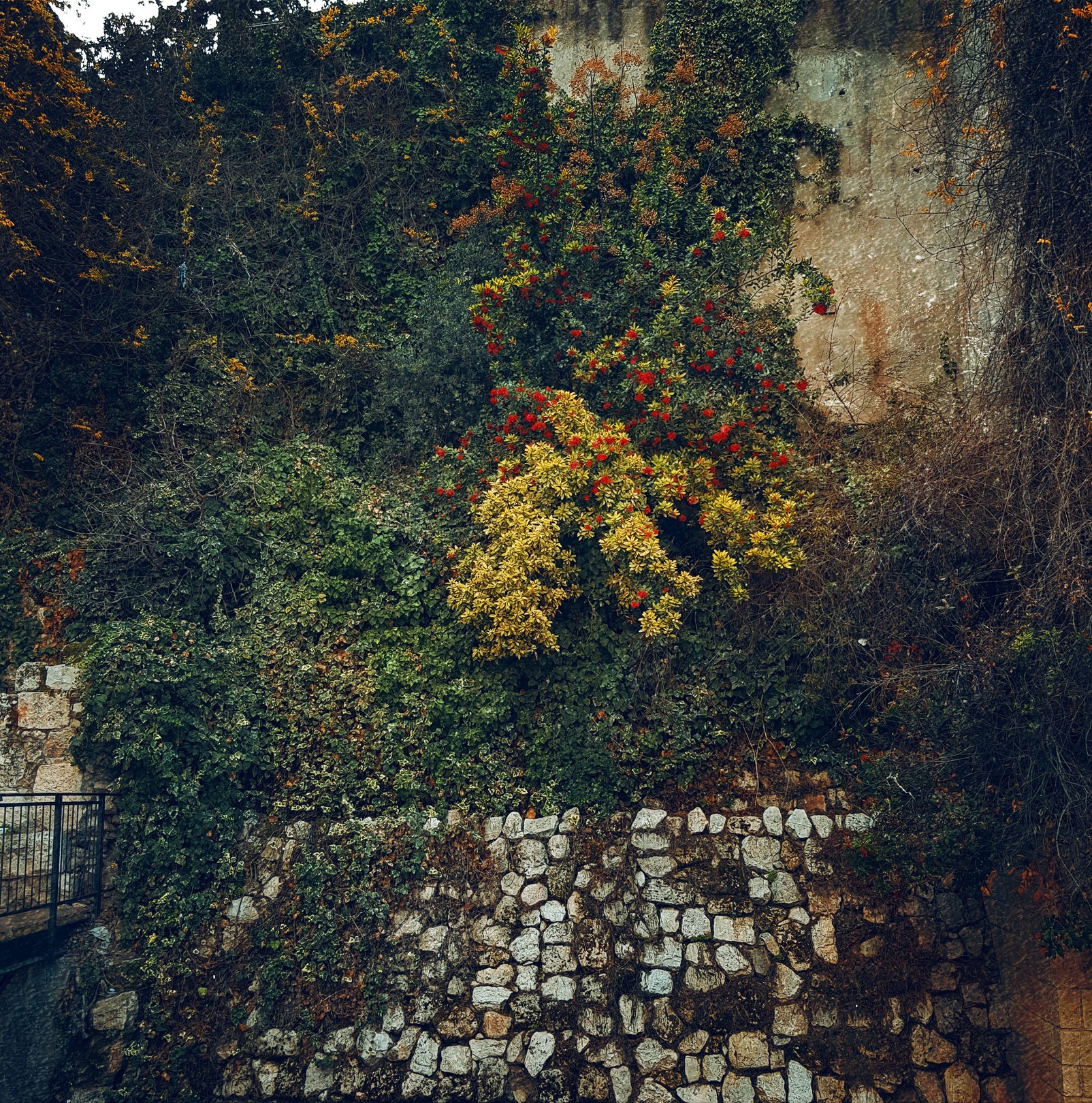 Viet Ha Tran, Old wall in Jerusalem Viet Ha Tran, Old wall in Jerusalem