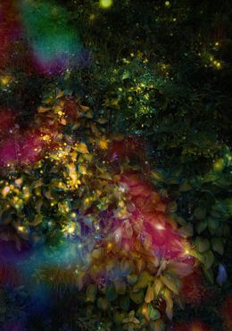 Photography, Wall of Nature XVII, Viet Ha Tran