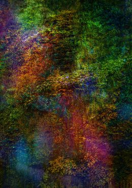 Photography, Wall of Nature XV, Viet Ha Tran