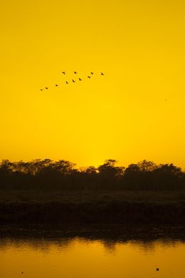 Photography, Sunset in Chitwan, Viet Ha Tran