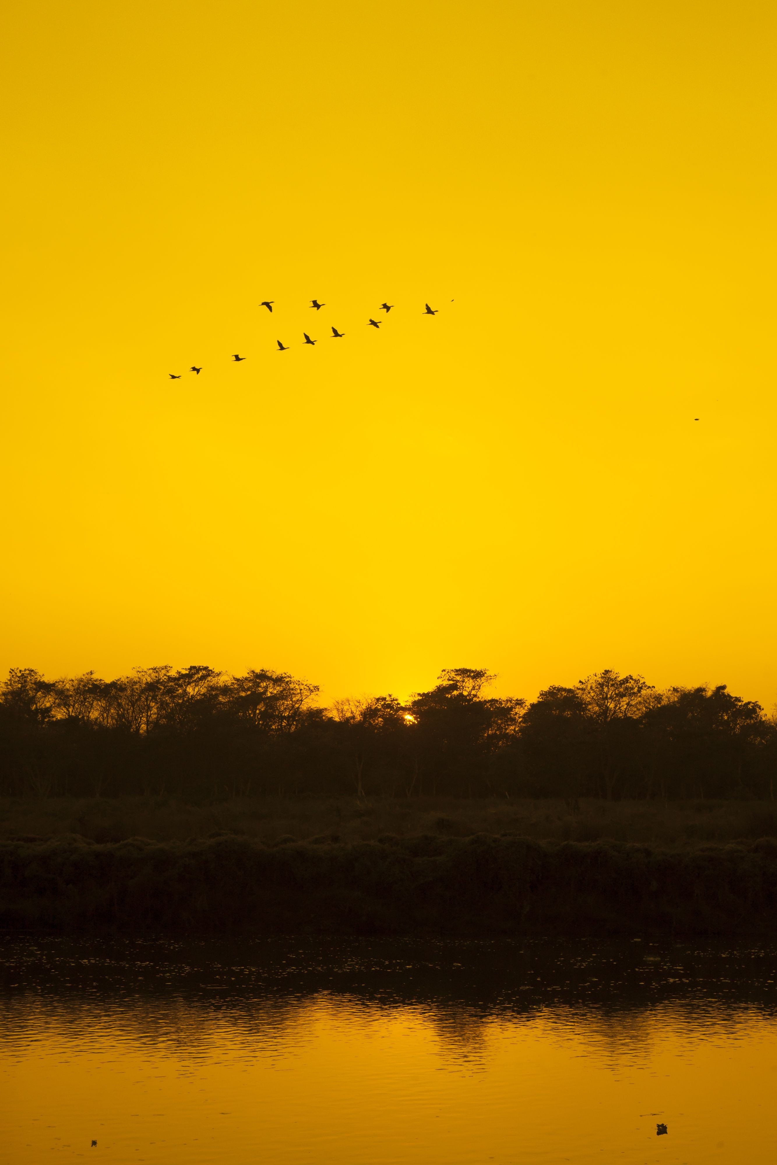Viet Ha Tran, Sunset in Chitwan Viet Ha Tran, Sunset in Chitwan