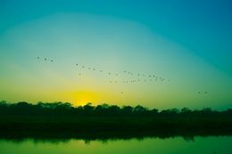 Photography, Sunset in Chitwan II, Viet Ha Tran