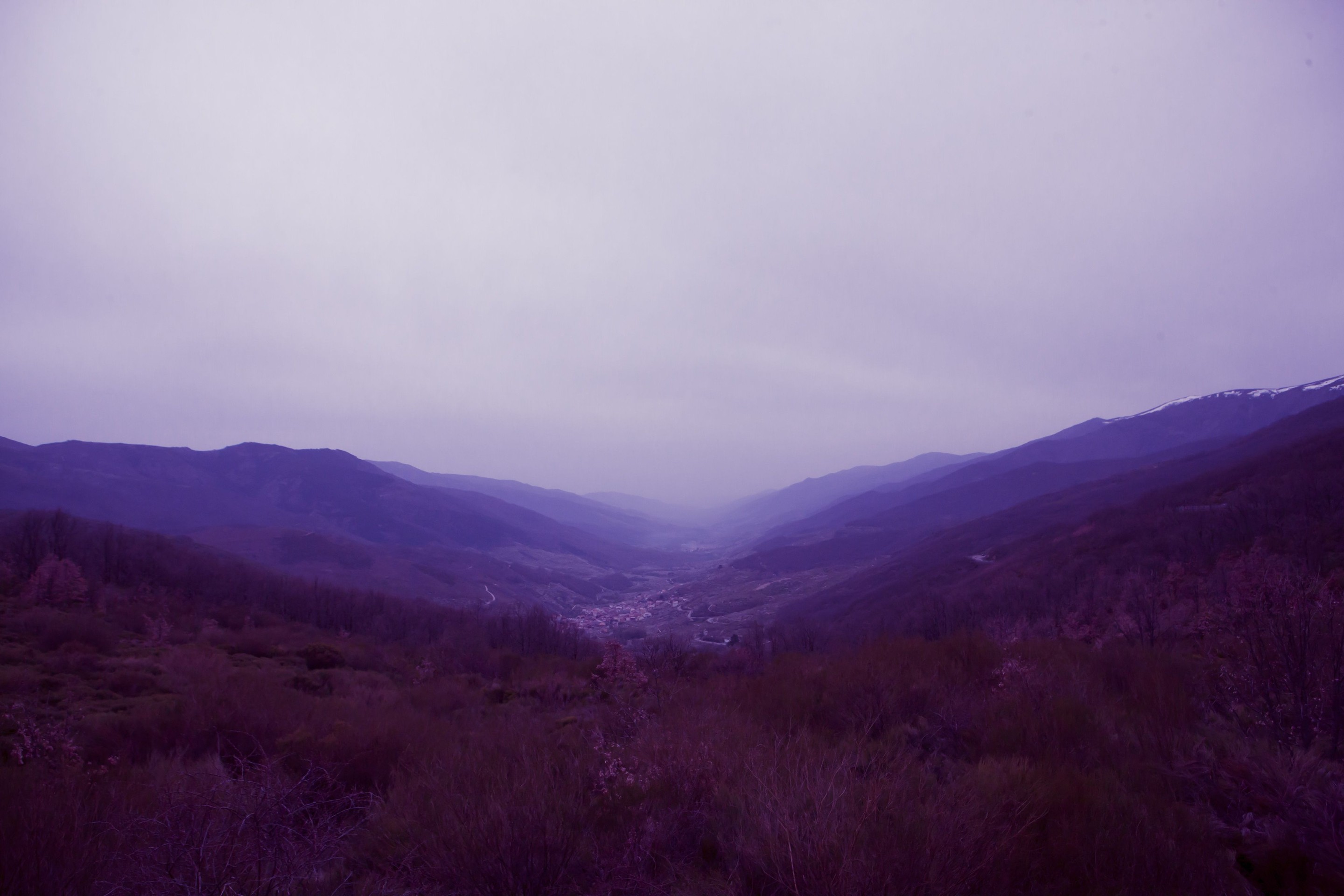 Viet Ha Tran, A cold morning Viet Ha Tran, A cold morning