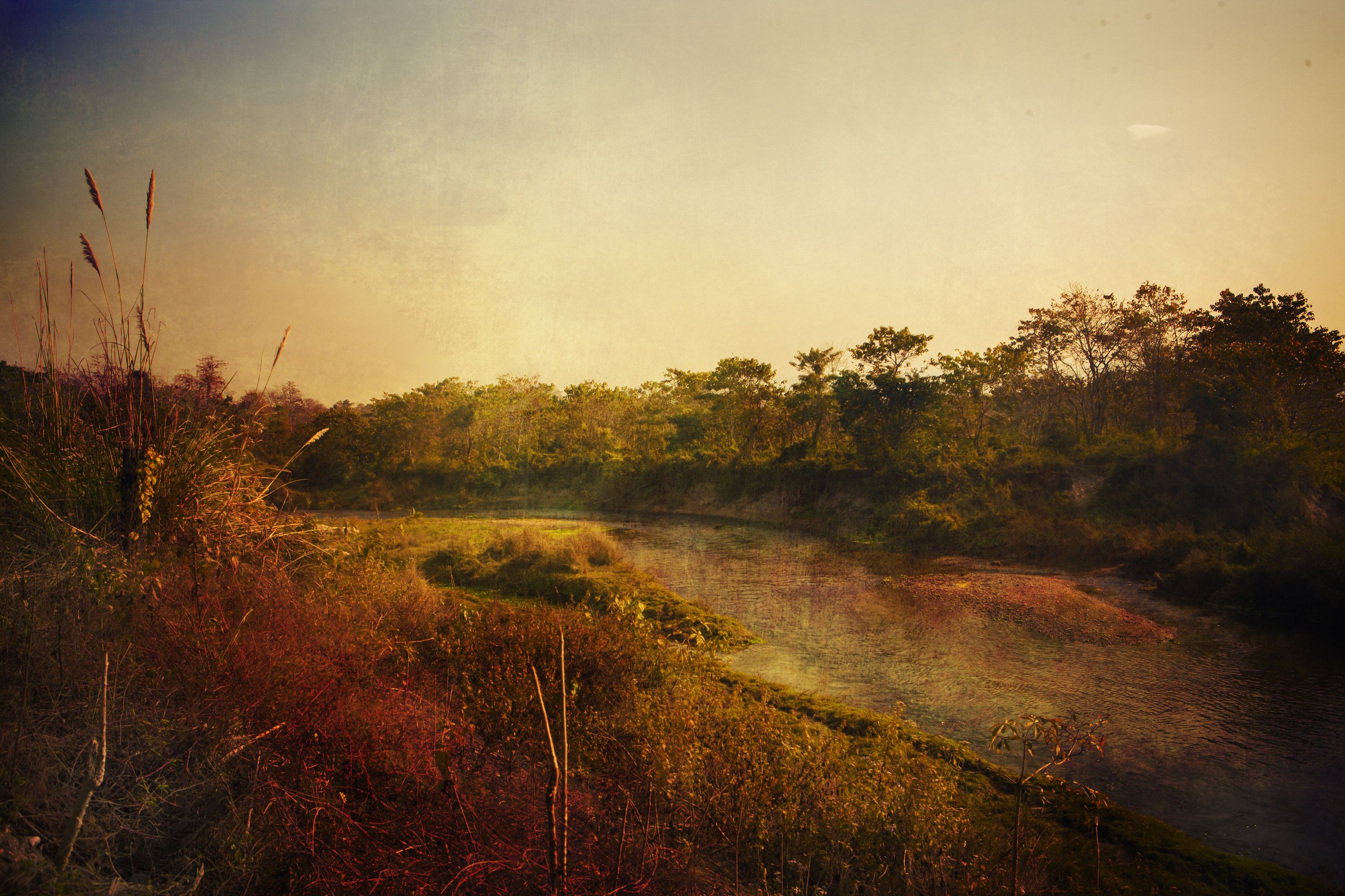 Viet Ha Tran, National Park of Chitwan, Nepal Viet Ha Tran, National Park of Chitwan, Nepal