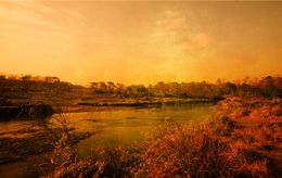 Photography, Sunset in Chitwan, Viet Ha Tran